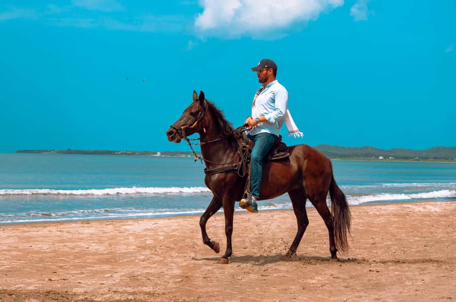 Cartagena: Beach Horse Ride and Colombian Equestrian Culture - Who Will Enjoy This Ride Most?