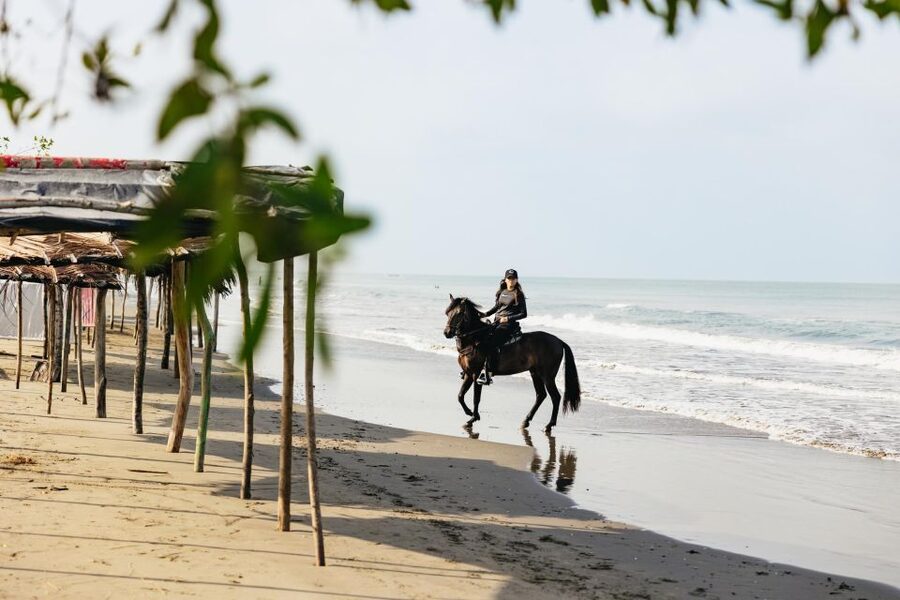 Cartagena: Beach Horse Ride and Colombian Equestrian Culture - What the High Ratings Tell You