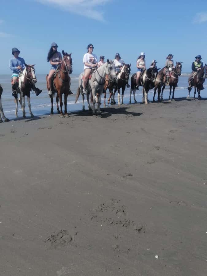 Cartagena: Horse Riding on the Beach with Photos and Lunch - Key points to know before you book