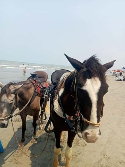 Horse Riding on the Beach with Photos and Lunch