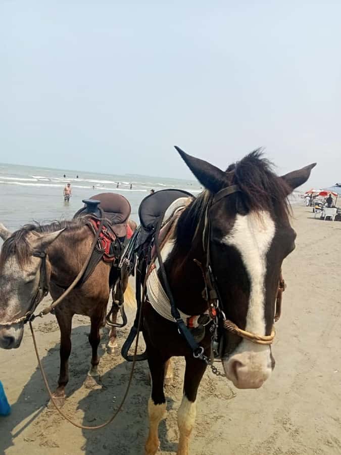 Cartagena: Horse Riding on the Beach with Photos and Lunch - Los Morros, from pickup to saddle