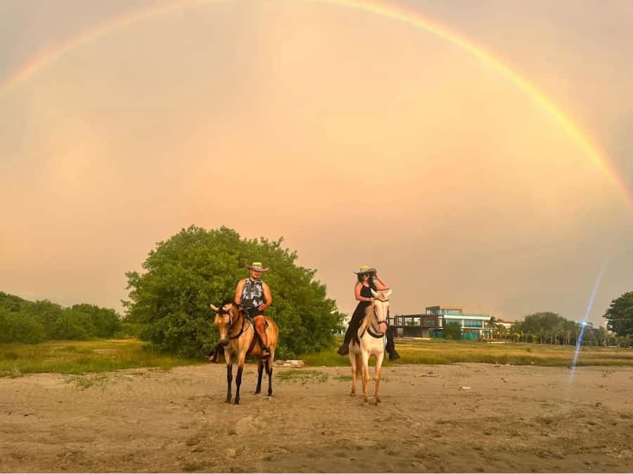 Cartagena: Horseback Ridding Excursion on the Beach - One hour beside the Caribbean Sea