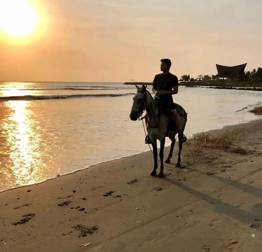 Cartagena: Horseback Ridding Excursion on the Beach - Meeting the guide and choosing your horse