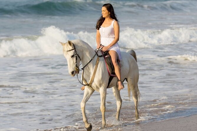 Cartagena: Horseback Riding at the Beach During Day or Sunset - Key points to know before booking