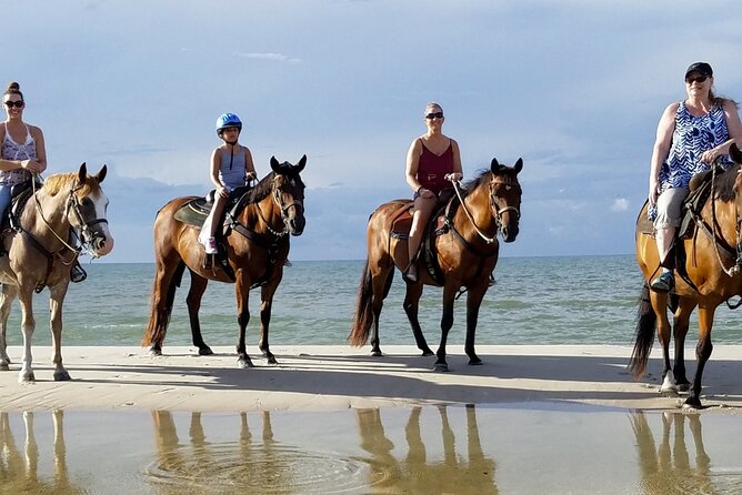 Cartagena: Horseback Riding at the Beach During Day or Sunset - Riding from Cartagena into La Boquilla