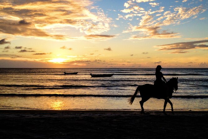 Cartagena: Horseback Riding at the Beach During Day or Sunset - Choosing daytime or sunset