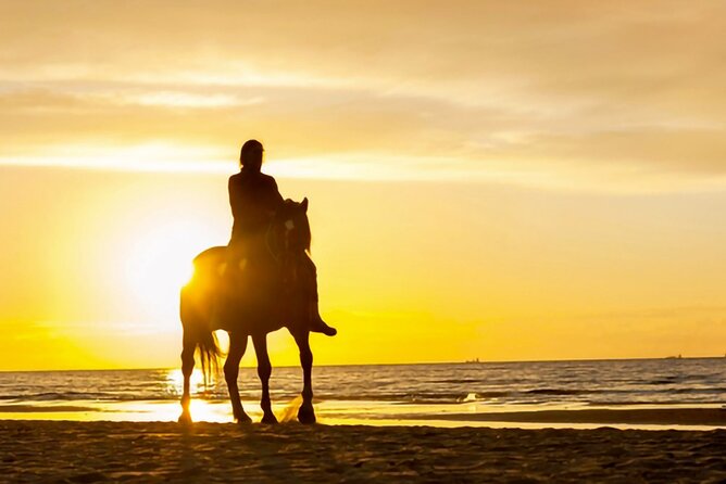 Cartagena: Horseback Riding at the Beach During Day or Sunset - Ending at the seaside restaurant