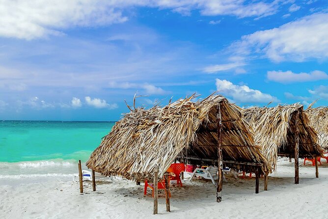 Cartagena: Horseback Riding at the Beach During Day or Sunset - Who should book this ride