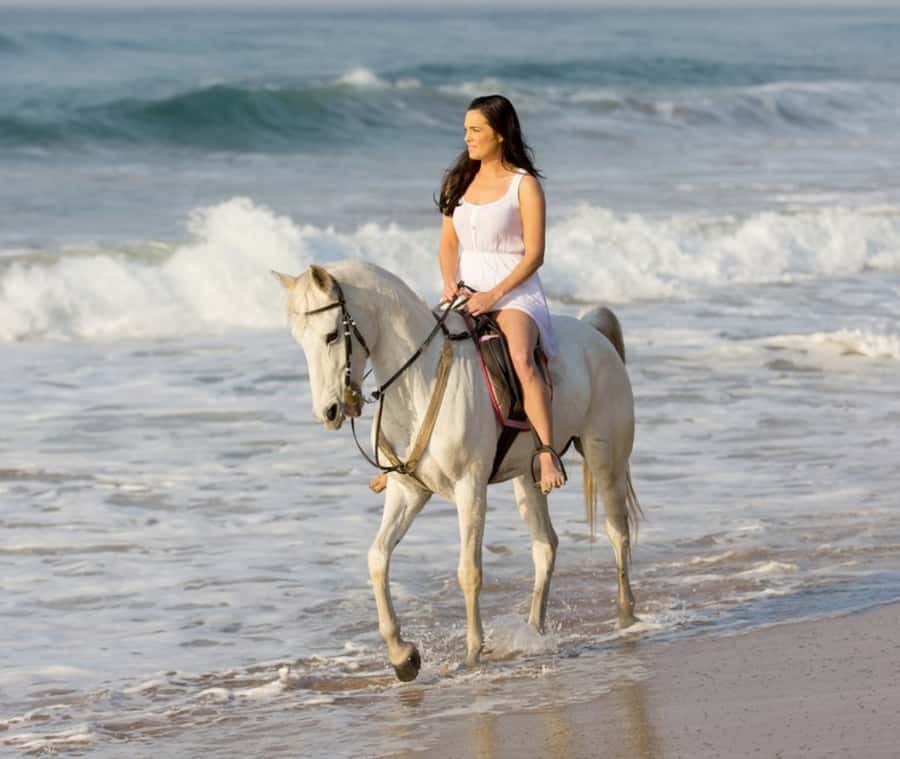 Cartagena: Horseback Riding on the Beach at Sunset - Key points at a glance