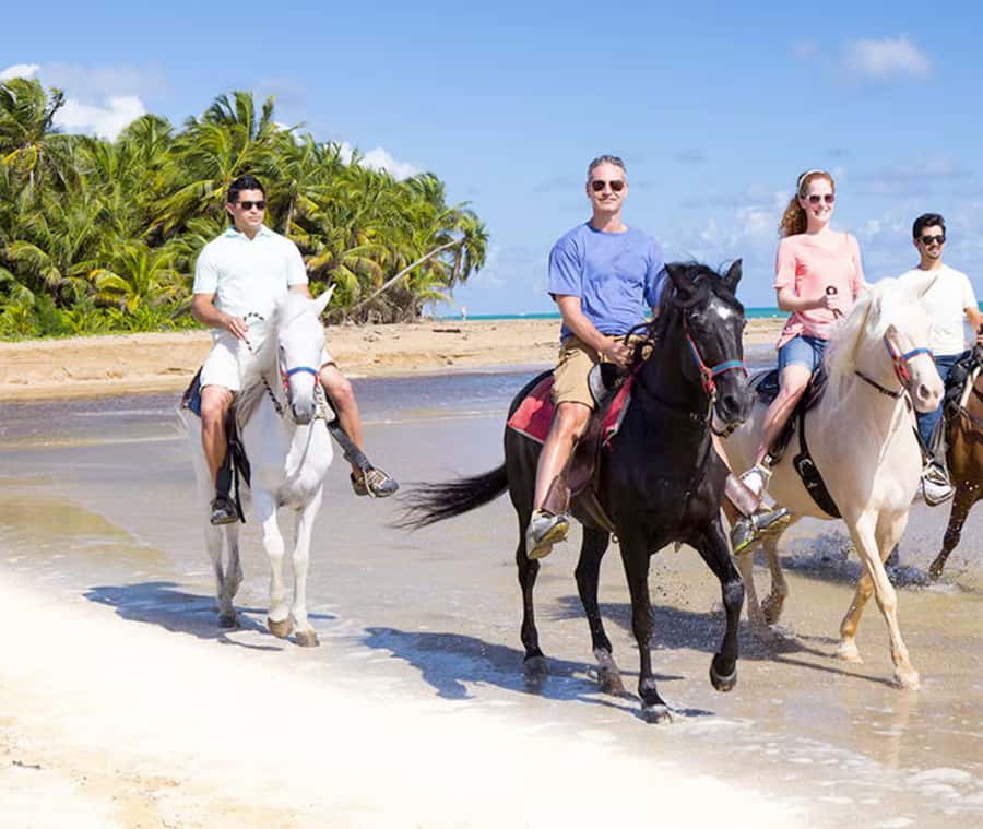 Cartagena: Horseback Riding on the Beach at Sunset - Riding along La Boquilla’s beach