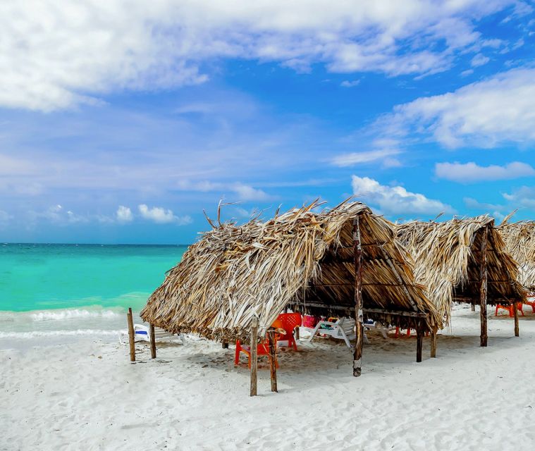 Cartagena: Horseback Riding on the Beach at Sunset - Mangroves, wildlife, and the local story