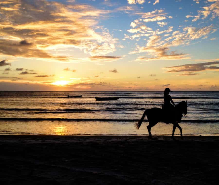 Cartagena: Horseback Riding on the Beach at Sunset - Who should book the ride