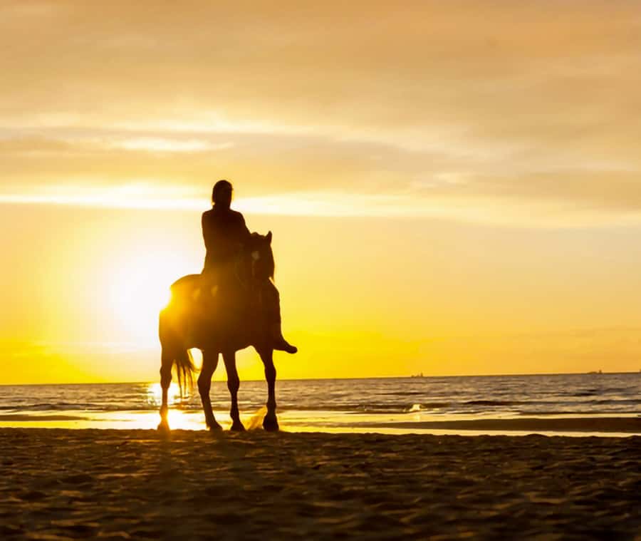 Cartagena: Horseback Riding on the Beach at Sunset - Meeting the horses at María Palito