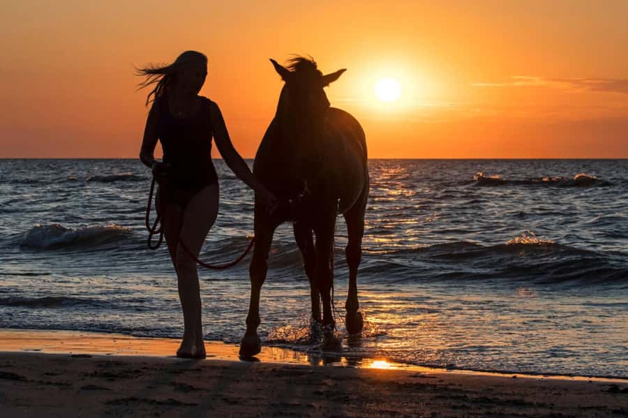 Casablanca: Beach Horseback Riding with Hotel Transfers - Key points before you book