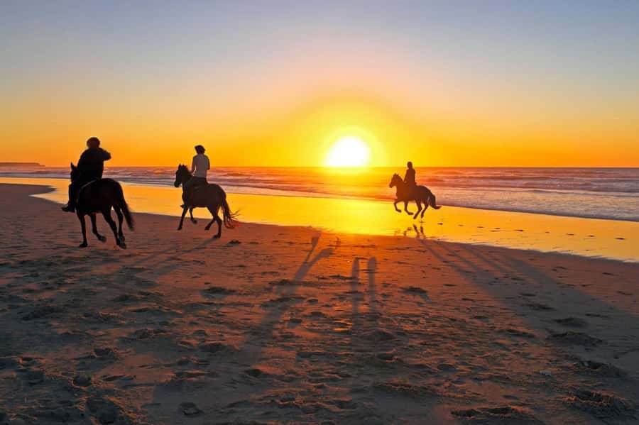 Casablanca: Beach Horseback Riding with Hotel Transfers - The final call