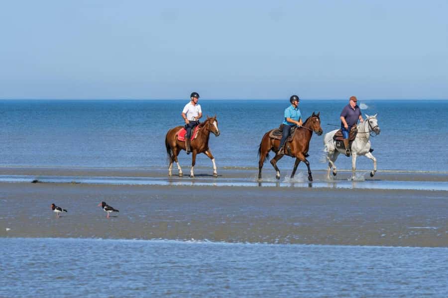 Casablanca: Beach Horseback Riding with Hotel Transfers - Leaving Casablanca behind for the Atlantic shore