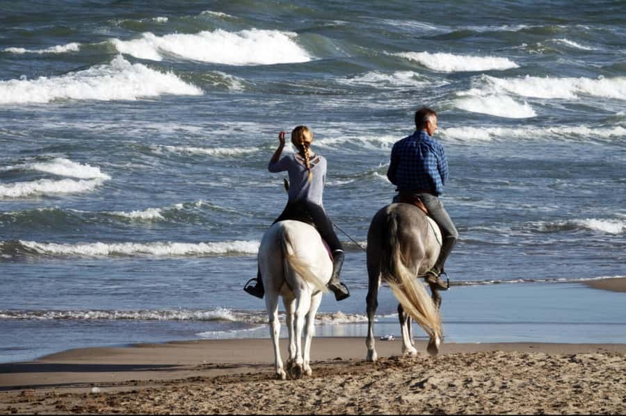 Casablanca: Beach Horseback Riding with Hotel Transfers - One hour beside the waves