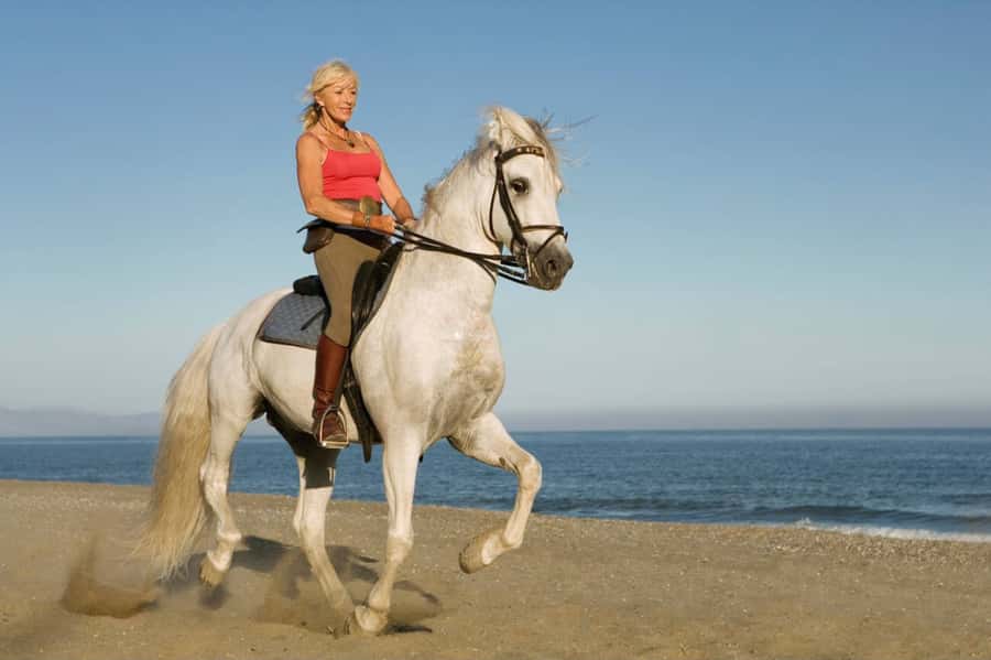 Casablanca: Beach Horseback Riding with Hotel Transfers - The quieter forest option