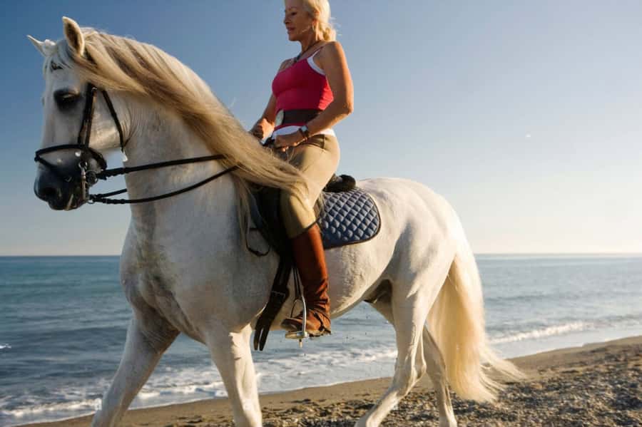 Casablanca: Beach Horseback Riding with Hotel Transfers - Is $46 a fair price?