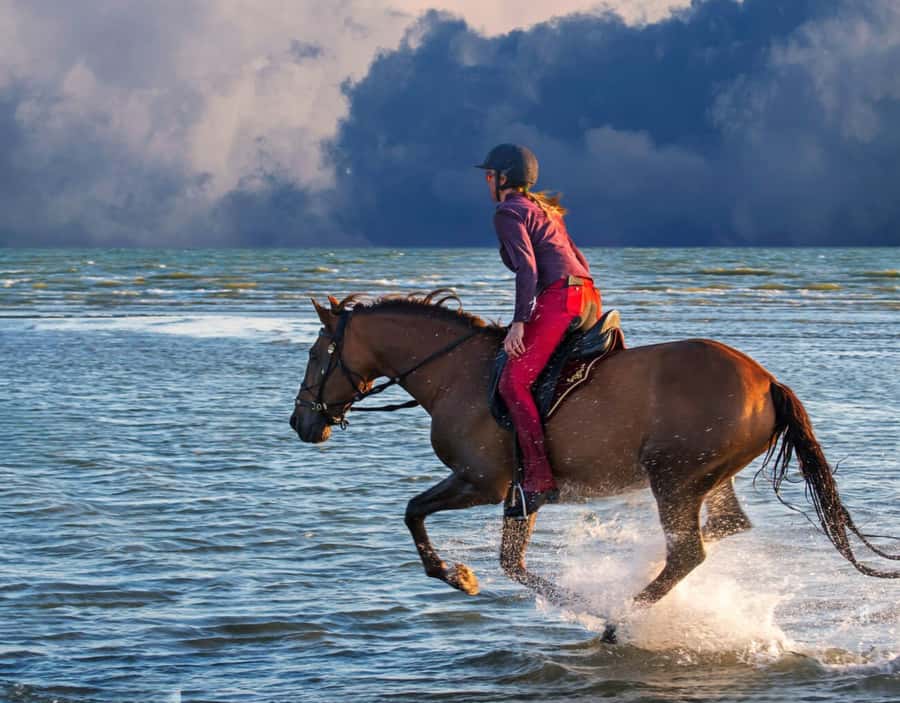 Casablanca: Beach Horseback Riding with Hotel Transfers - Who will enjoy this ride most?