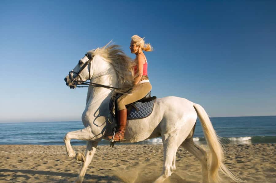 Casablanca: Beach Horseback Riding with Hotel Transfers - Weather, comfort, and practical tips