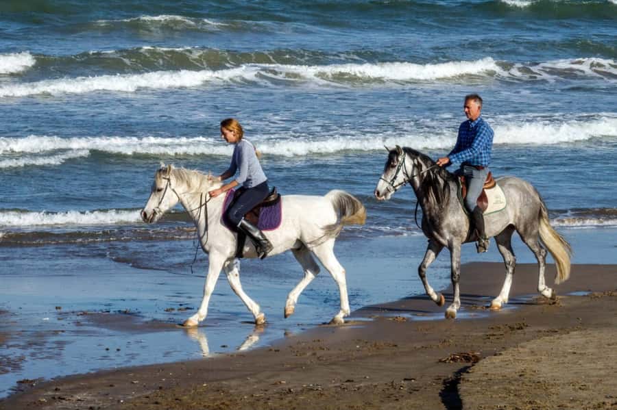 Casablanca: Beach Horseback Riding with Hotel Transfers - Meeting the horses and getting ready