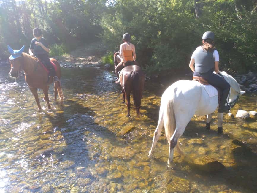 Casentino: Horseback Riding Tour with Verna Sanctuary View - Key points to know before you book
