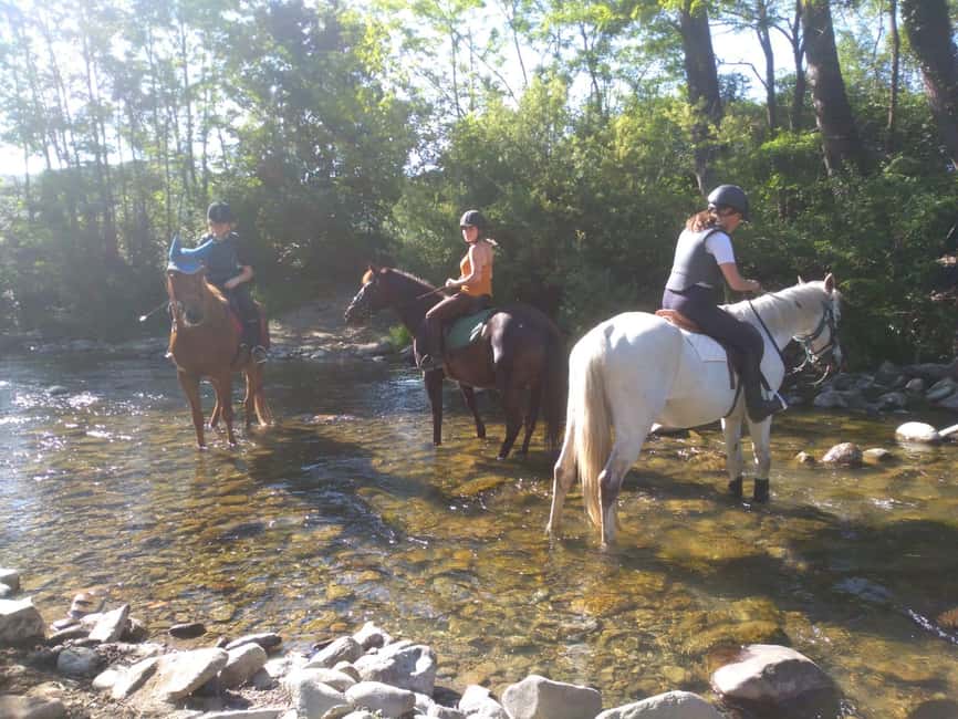 Casentino: Horseback Riding Tour with Verna Sanctuary View - Riding out from Antares Horse Club