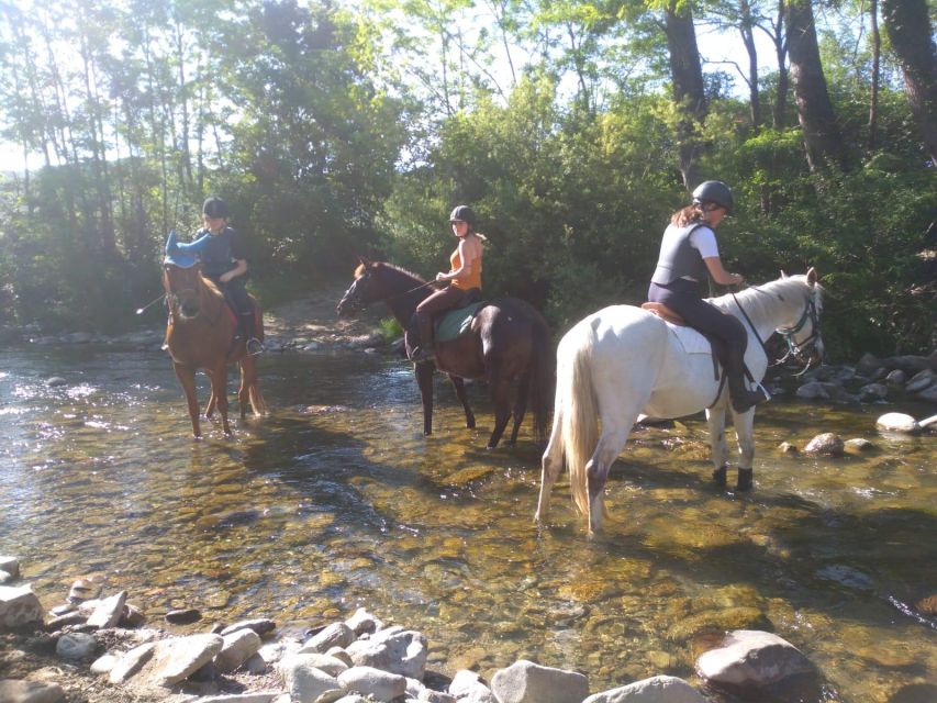 Casentino: Horseback Riding Tour with Verna Sanctuary View - What the $88 price gives you