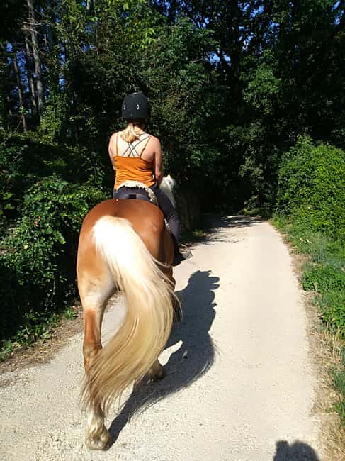 Casentino: Horseback Riding Tour with Verna Sanctuary View - Through the Verna Gorge and across the countryside