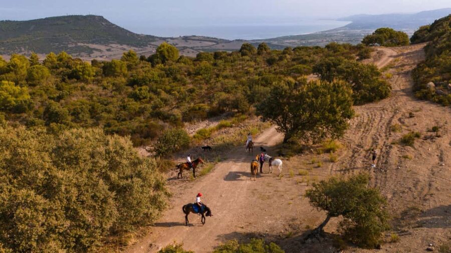 Castelsardo: horseback in Sedini - What the scenery feels like from horseback
