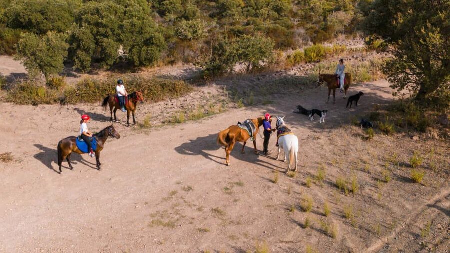Castelsardo: horseback in Sedini - Booking details that matter
