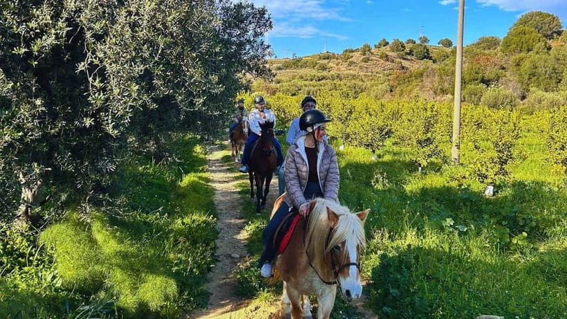 Catania: Guided Horseback Ride in Misterbianco Countryside - Key points at a glance