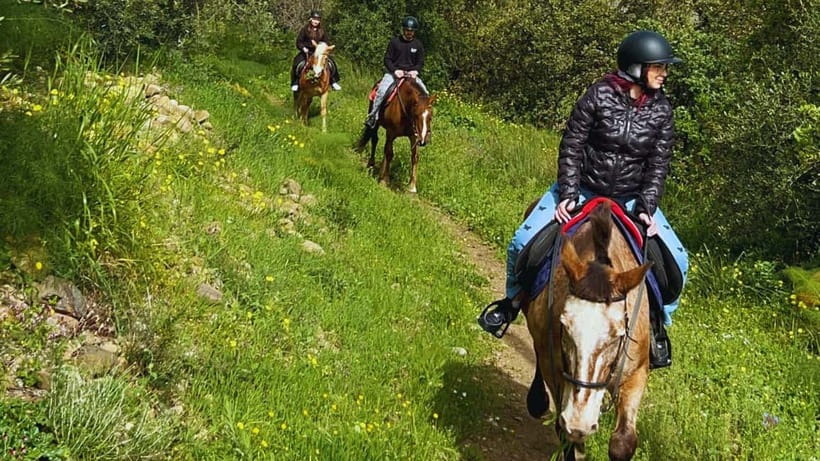 Catania: Guided Horseback Ride in Misterbianco Countryside - Mount Etna, the Ionian Sea, and Etnean villages