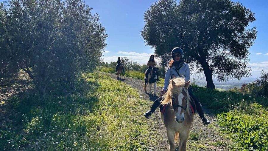 Catania: Guided Horseback Ride in Misterbianco Countryside - What the $49 price covers