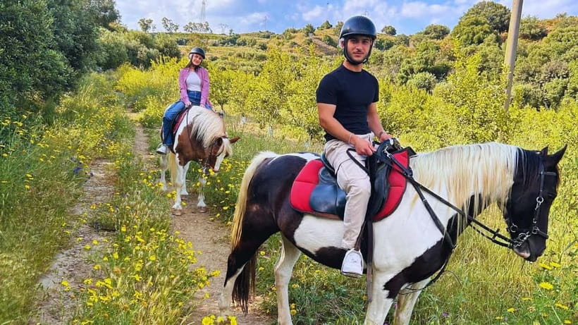 Catania: Guided Horseback Ride in Misterbianco Countryside - Timing, weather, and cancellation