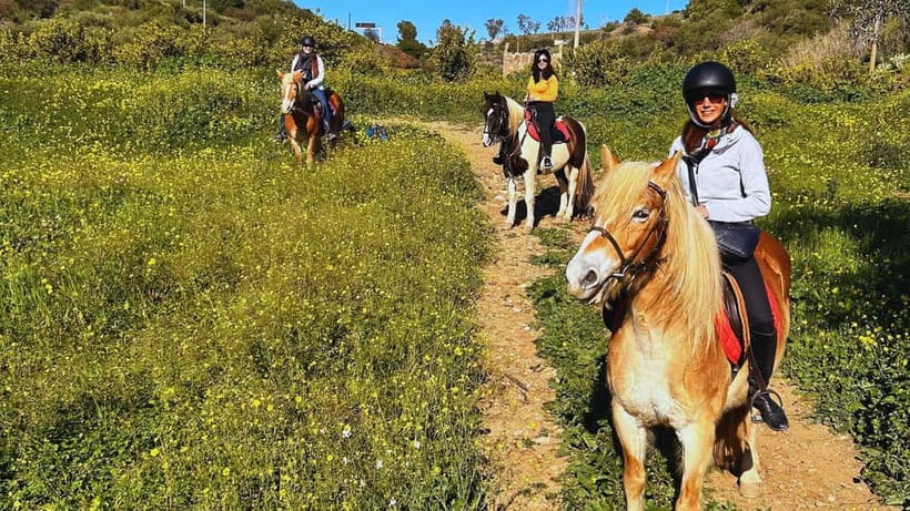 Catania: Guided Horseback Ride in Misterbianco Countryside - The first minutes: horses, helmets, and basic instruction