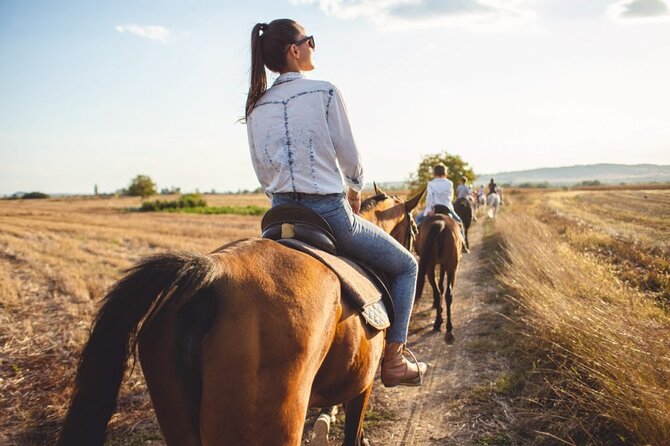 CDMX Forest Adventure: ATVs, Horses, Ziplines & Transport - How the $180 price measures up