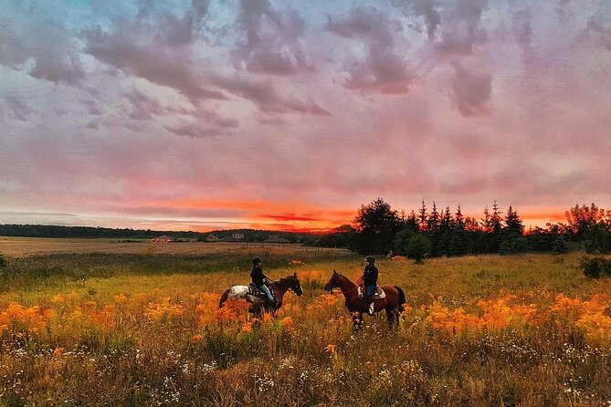 Champagne and Charcuterie Sunset Trail Ride - Why Lake Louisa is the right place for this ride
