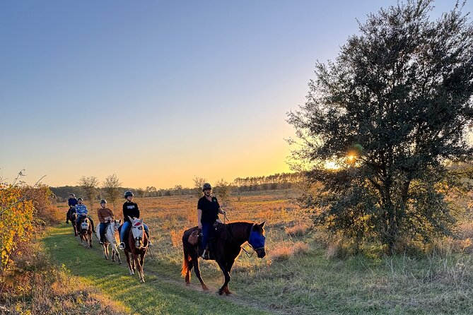 Champagne and Charcuterie Sunset Trail Ride - Who will enjoy the sunset setting most