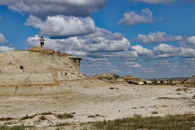 Chasing Horses Back to Nature Experience in North Dakota - Four hours with Theodore Roosevelt National Park’s wild horses