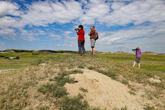 Chasing Horses Back to Nature Experience in North Dakota - Starting in Medora and entering the park