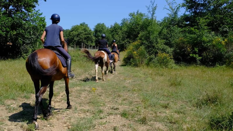 Chianti: Horseback Riding Through Vineyards and Woods - The First Minutes: Forms, Questions, and a Test Field