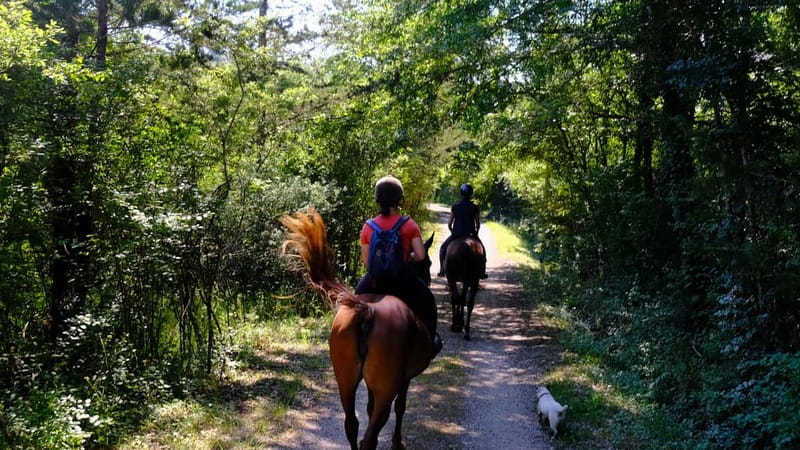 Chianti: Horseback Riding Through Vineyards and Woods - Why the Small Group Size Matters
