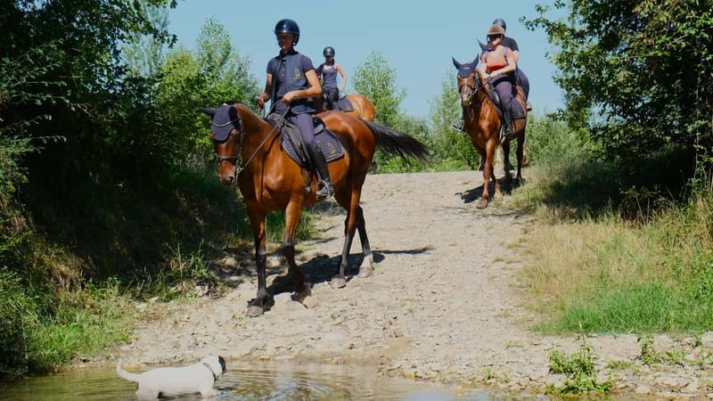 Chianti: Horseback Riding Through Vineyards and Woods - Getting There and Planning the Timing