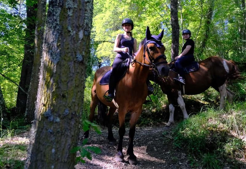 Chianti: Horseback Riding Through Vineyards and Woods - Who Will Enjoy This Ride Most