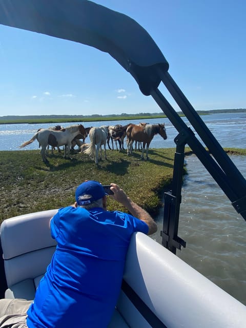 Chincoteague: Premier Pony & Wildlife Small Group Boat Tour - Key points to know before booking
