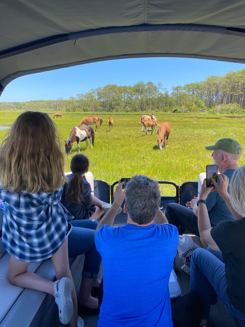 Chincoteague: Premier Pony & Wildlife Small Group Boat Tour - What the first hour on the water is like