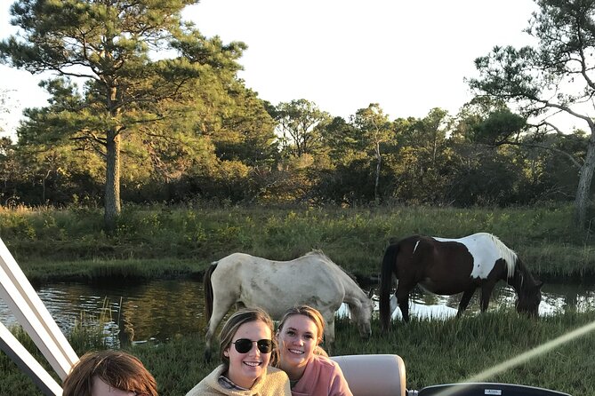 Chincoteague's Up The Bay Pony and Wildlife Tour by Boat - A two-hour search for Chincoteague’s wild ponies