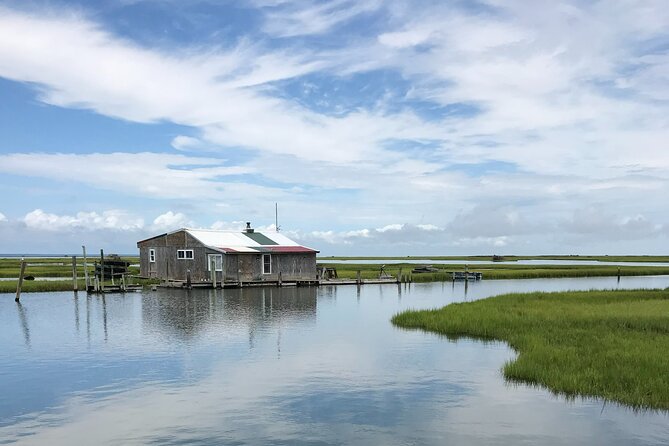 Chincoteague's Up The Bay Pony and Wildlife Tour by Boat - What you get for $75